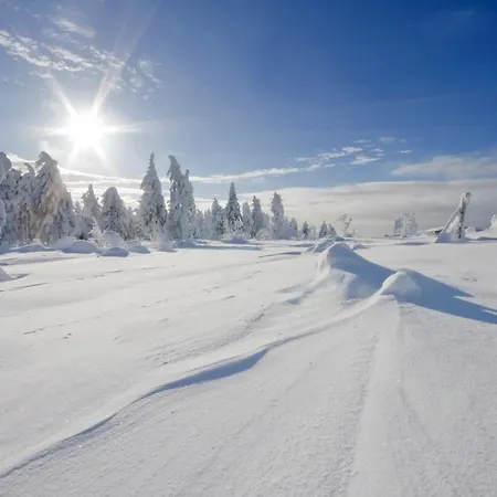 Erzgebirge 