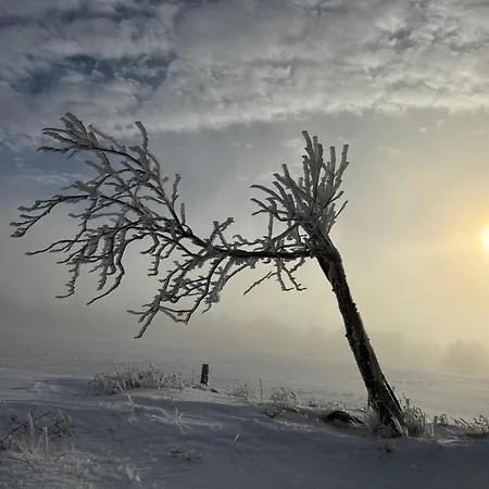 Erzgebirge 